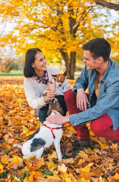 秋の野外で犬と遊ぶ幸せな若いカップル — ストック写真