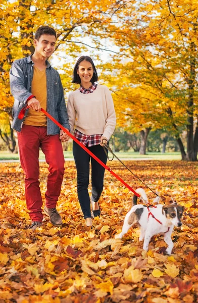 Happy νεαρό ζευγάρι περπάτημα σε εξωτερικούς χώρους το φθινόπωρο πάρκο με τα σκυλιά — Φωτογραφία Αρχείου