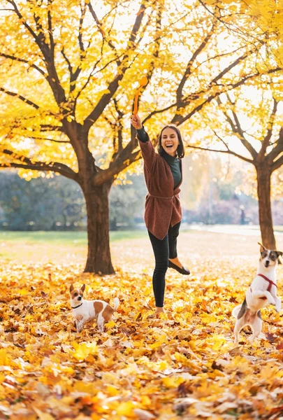 Jovem feliz brincando com cães ao ar livre no outono — Fotografia de Stock