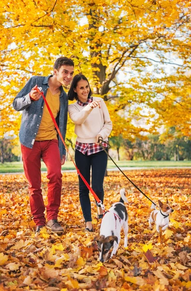 Happy young couple walking outdoors in autumn park with dogs — Stock Photo, Image