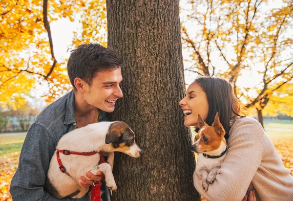 Retrato de jovem casal feliz com cães ao ar livre no parque de outono — Fotografia de Stock