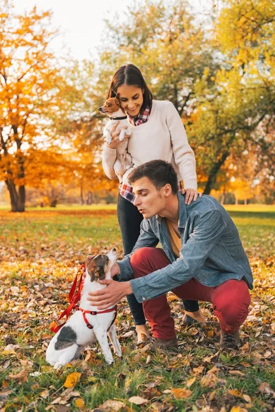 秋の公園で野外で遊ぶ犬と幸せな若いカップルします。 — ストック写真