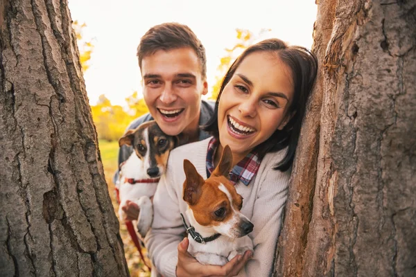 Retrato de feliz pareja joven con perros al aire libre en el parque de otoño — Foto de Stock