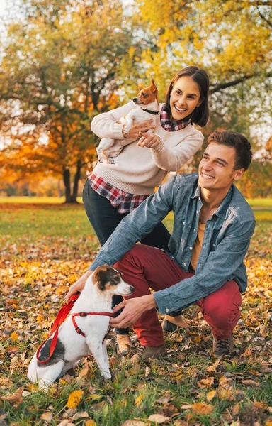 Jovem casal com cães apontando no espaço de cópia ao ar livre no outono — Fotografia de Stock