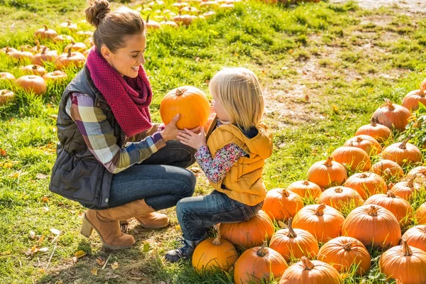 Madre e hijo eligiendo calabazas —  Fotos de Stock