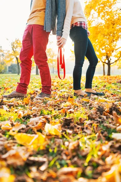 Fechar em jovem casal segurando coleira juntos no parque de outono — Fotografia de Stock