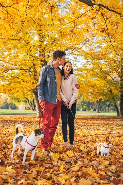 Romántica pareja joven paseando al aire libre en el parque de otoño con perros —  Fotos de Stock