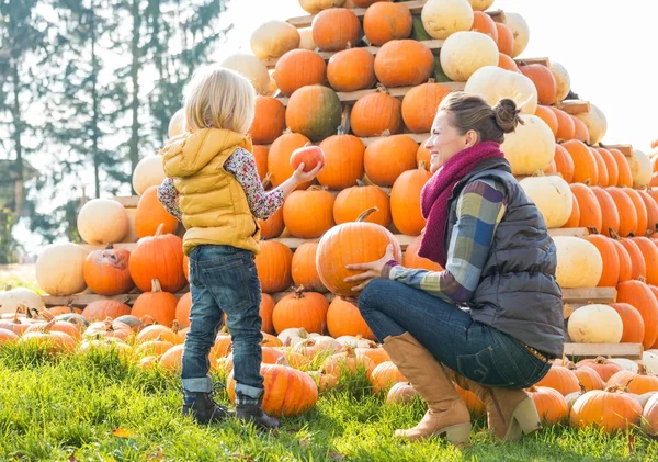 Mère heureuse et enfant choisissant citrouilles — Photo