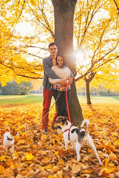 Portret van romantische jong paar buitenshuis in herfst park met d — Stockfoto