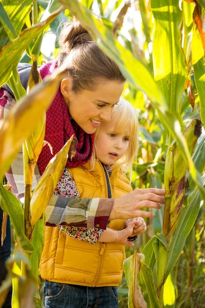 Портрет счастливой матери и ребенка, исследующих кукурузное поле — стоковое фото