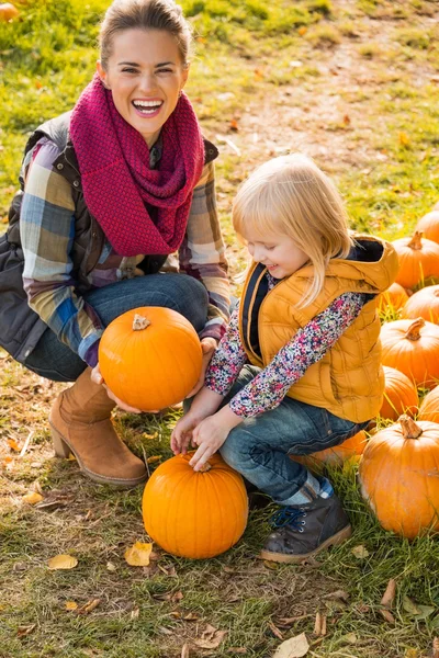 Lachende moeder en kind kiezen pompoenen — Stockfoto