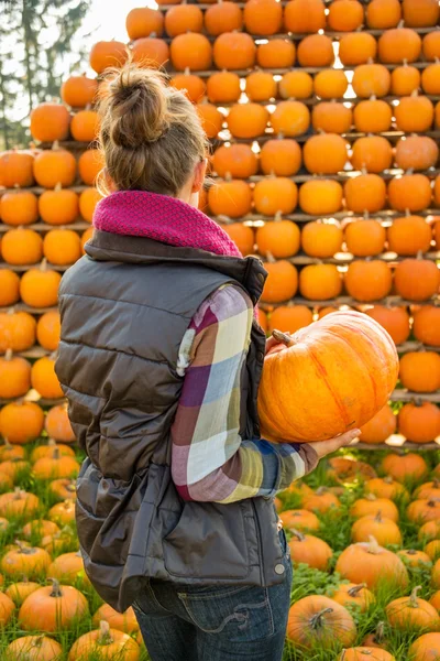 Une jeune femme tenant de la citrouille devant des rangées de citrouilles. vue arrière — Photo