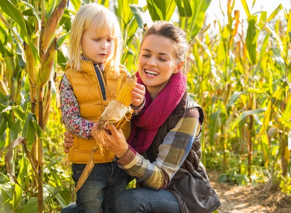 Porträtt av mor och barn urtagning majs i majsfält — Stockfoto