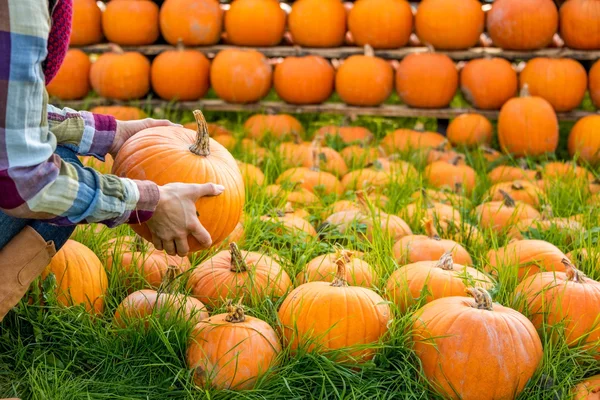 Primer plano de la mujer joven sosteniendo la calabaza — Foto de Stock