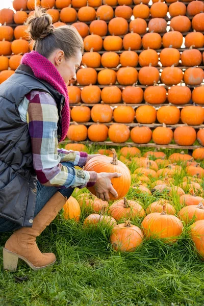 Mujer joven sosteniendo calabaza. visión trasera —  Fotos de Stock