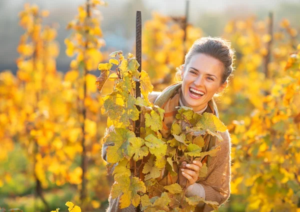 Портрет щасливої молодої жінки в осінньому винограднику, що дивиться на моро — стокове фото