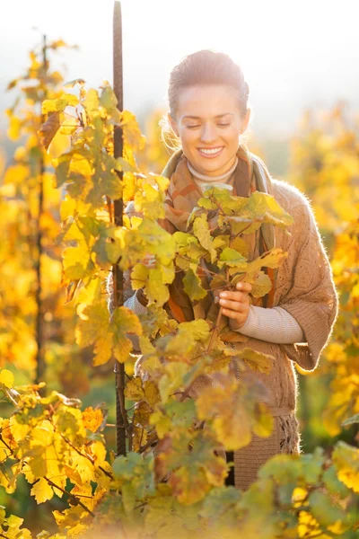 Happy young woman standing in autumn vineyard and looking on bra — Stock Photo, Image