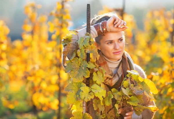 Portrait of thoughtful young woman standing in autumn vineyard — Stock Photo, Image