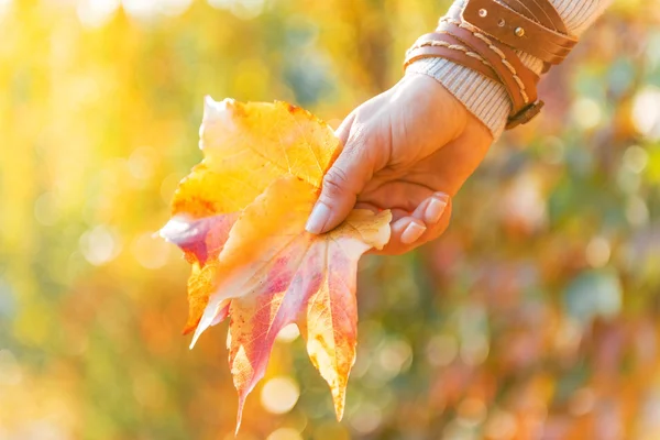 Closeup on woman holding autumn leaf — Stock Photo, Image