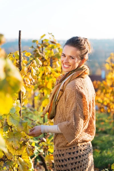 Portrait of happy young woman in autumn vineyard — Stock Photo, Image