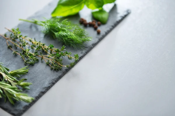 Fresh herbs on a slate — Stock Photo, Image
