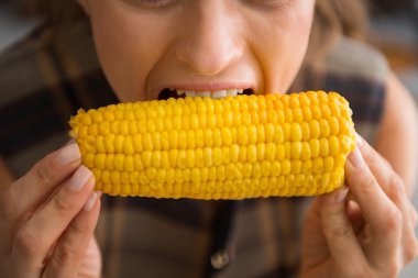 Closeup of woman biting into fresh, crunchy, sweet corncob
