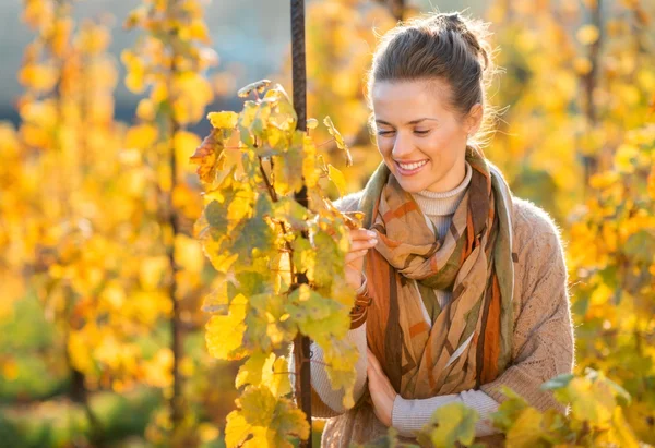 Femme vigneron inspectant les vignes dans le vignoble à l'extérieur à l'automne — Photo