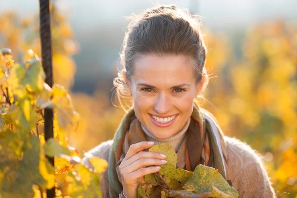 Sonbahar bağ içinde üzüm asmaları teftiş kadın winegrower — Stok fotoğraf