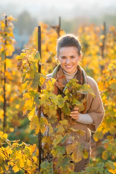 Kvinnan winegrower stående bland vinrankor i höst vingård — Stockfoto