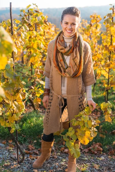 Retrato de mulher viticultor em pé no campo de uvas do outono — Fotografia de Stock
