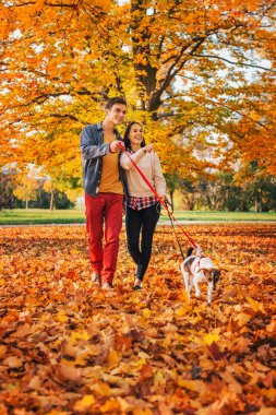 İki sevimli köpek Park'ta yürüyordunuz ile mutlu genç Çift