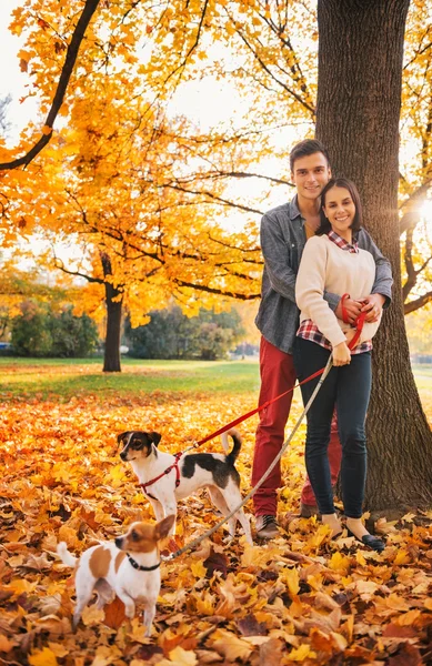 Retrato de pareja con dos perritos paseando por el parque —  Fotos de Stock