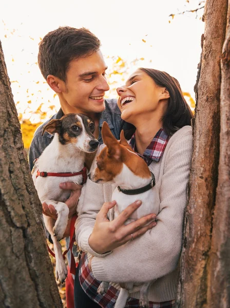 Feliz jovem casal segurando cães no parque e sorrindo — Fotografia de Stock