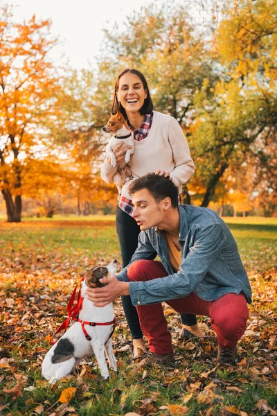 Pareja feliz paseando en el parque de otoño y jugando con perros —  Fotos de Stock