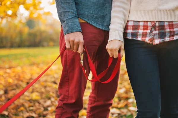 Chiudere su due mani di coppia che tiene i cani portano fuori — Foto Stock