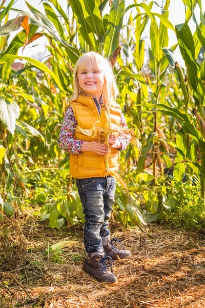 Retrato de un lindo niño sonriente en el campo de maíz en la granja — Foto de Stock