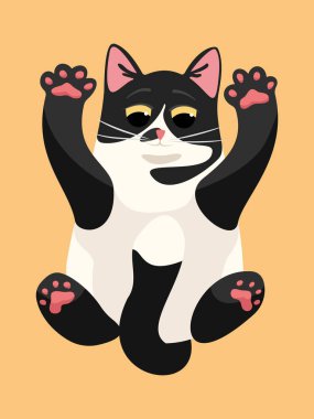 Şirin siyah beyaz kedi izole edilmiş vektör çizimi