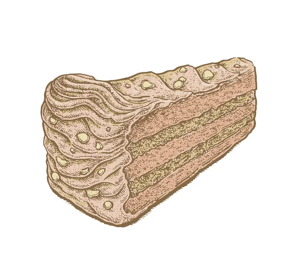 Illustrazione vettoriale disegnata a mano colorata di una fetta di torta di noci — Vettoriale Stock