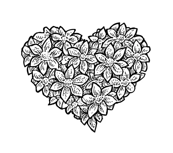 Ilustración vectorial en blanco y negro de los pétalos de flores en una sh — Archivo Imágenes Vectoriales
