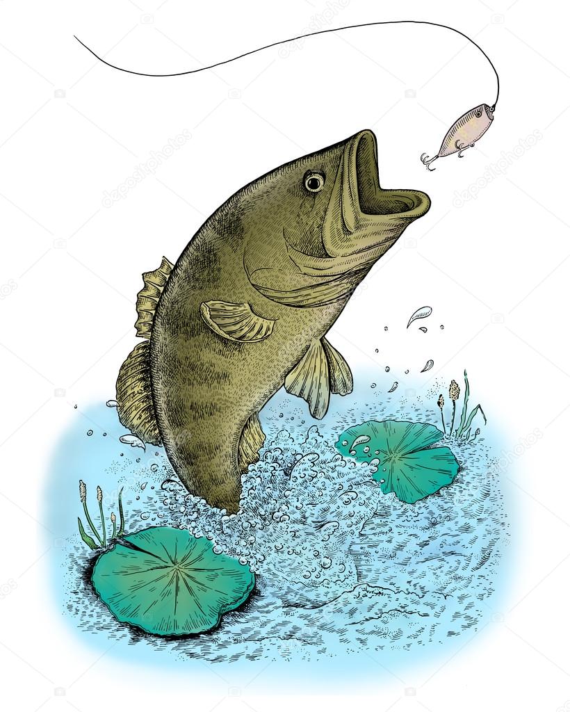 Largemouth Bass jumping out of water Stock Illustration by