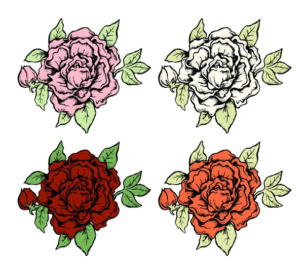 Set of ink style hand drawn colored roses — Stock Vector
