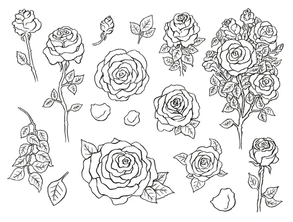 Mürekkep kümesi çizilmiş stilize Çiçekler teslim 