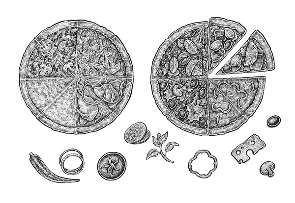 手描きインク ピザと食材のセットです。黒と白の ras — ストック写真