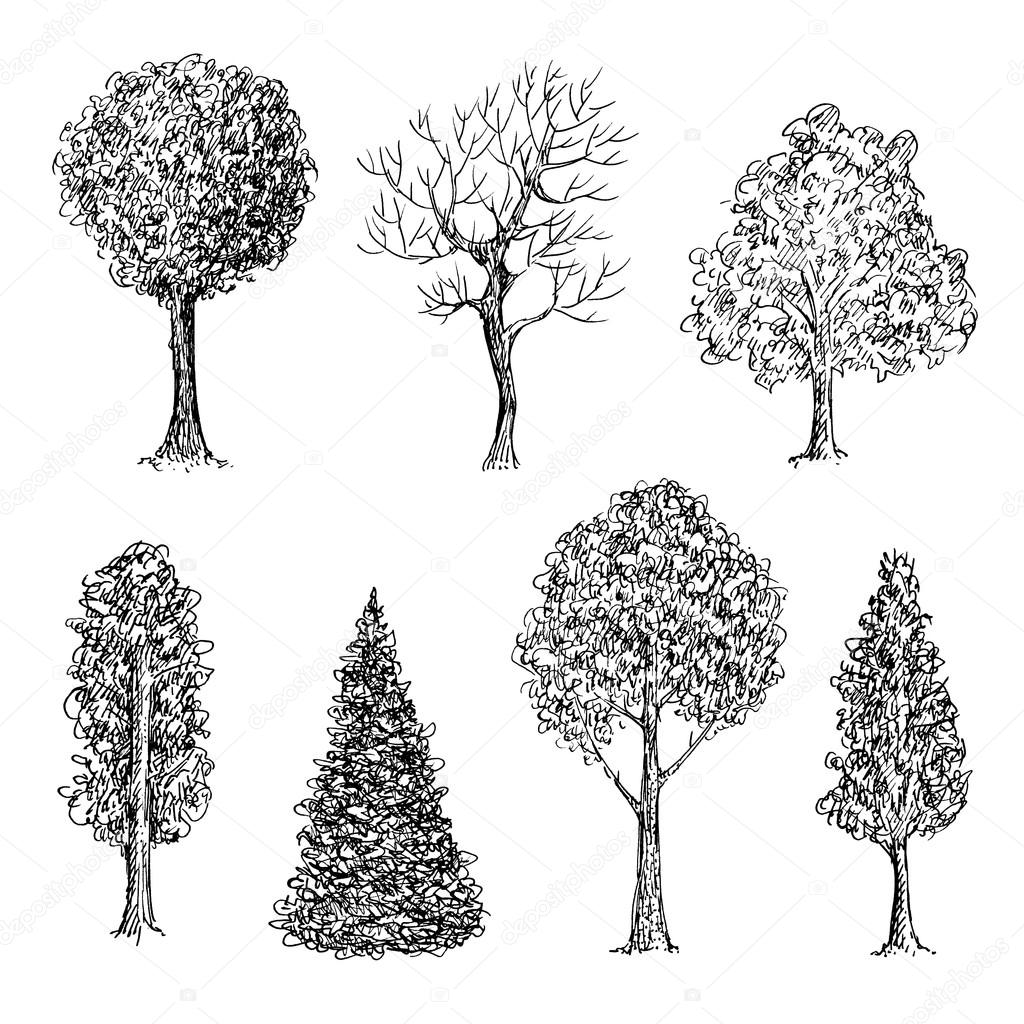 Set of ink hand drawn black and white trees
