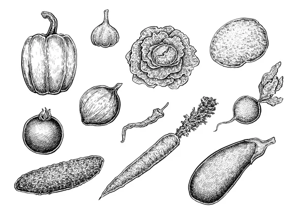 Ensemble de croquis de légumes dessinés à la main à l'encre noire et blanche — Image vectorielle