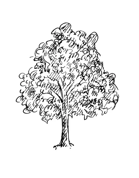 Esbozo en blanco y negro de un árbol. Ilustración vectorial — Vector de stock