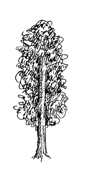 Schwarz-weiße Skizze eines Baumes. Vektorillustration — Stockvektor