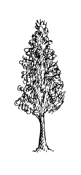 Schizzo in bianco e nero di un albero. Illustrazione vettoriale — Vettoriale Stock