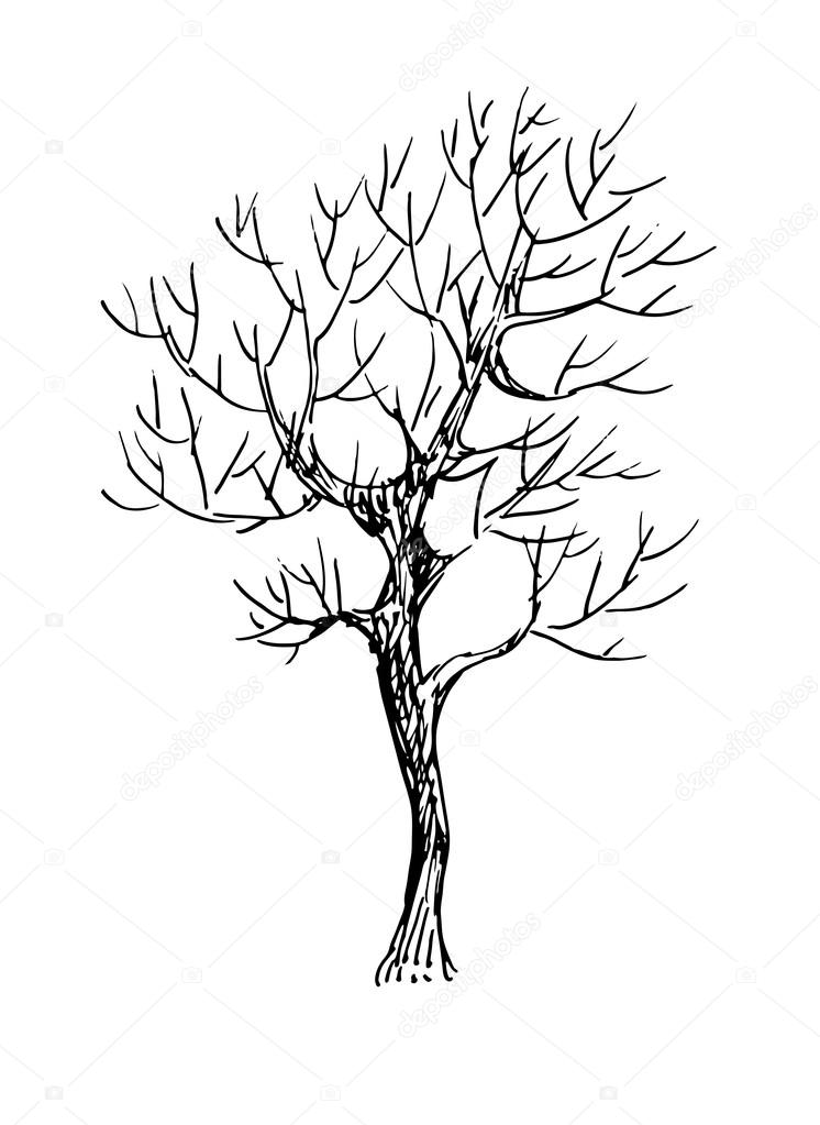 Black and white sketch of a tree. Vector illustration