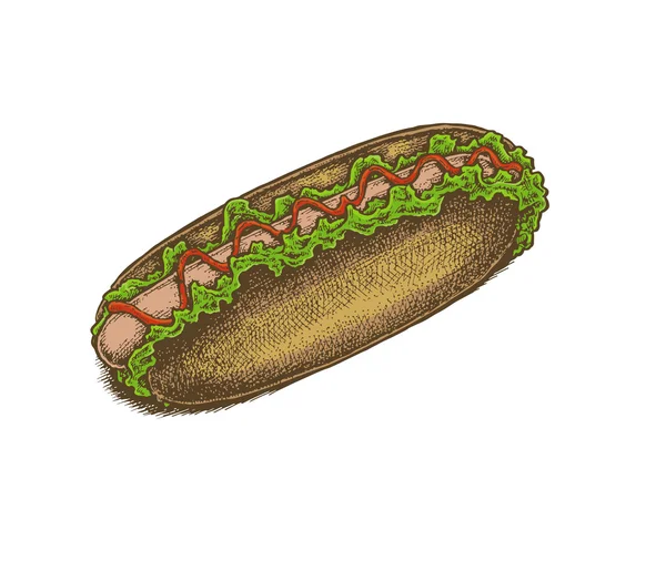 Bunte Vintage-Stil handgezeichnete Hot Dog. — Stockvektor